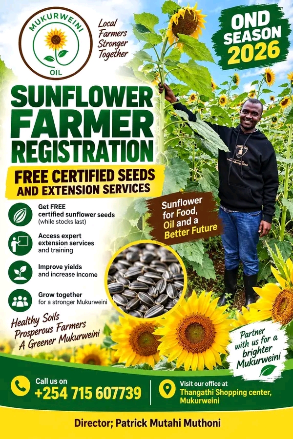 MUKURWEINI FARMERS — LET’S GROW SUNFLOWER TOGETHER
